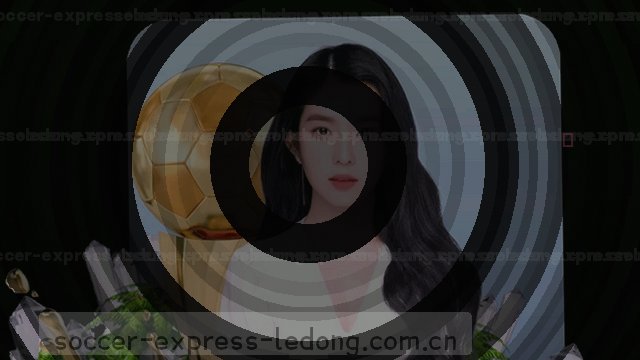 支持覆盖多语言及行业